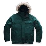 THE NORTH FACE Um[XtFCX GOTHAM JACKET 3 _EWPbg USA O[